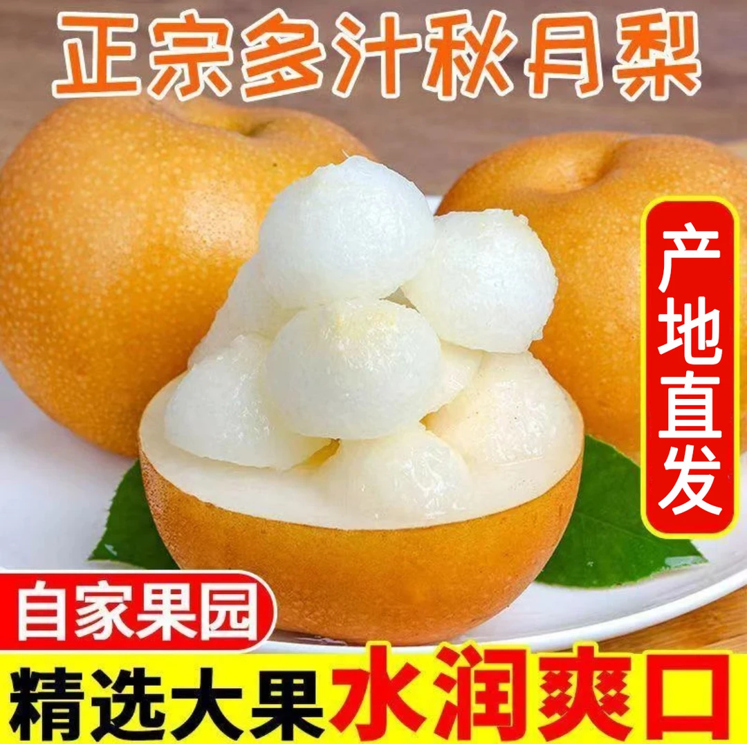 【精美彩箱】山东正宗秋月梨新鲜现摘脆甜多汁冰糖梨当季水果礼盒装