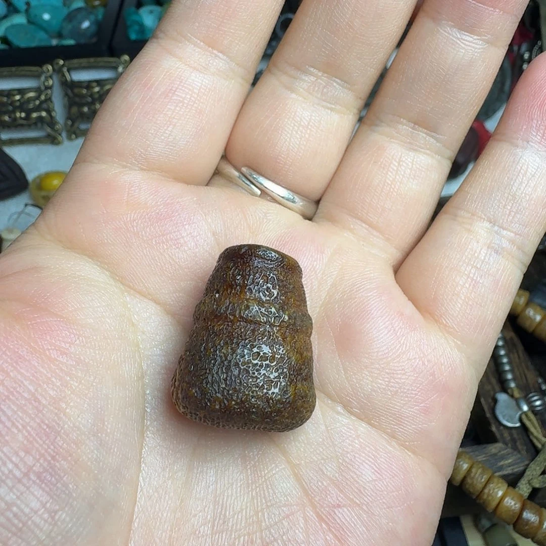 扎西德勒扎西德勒