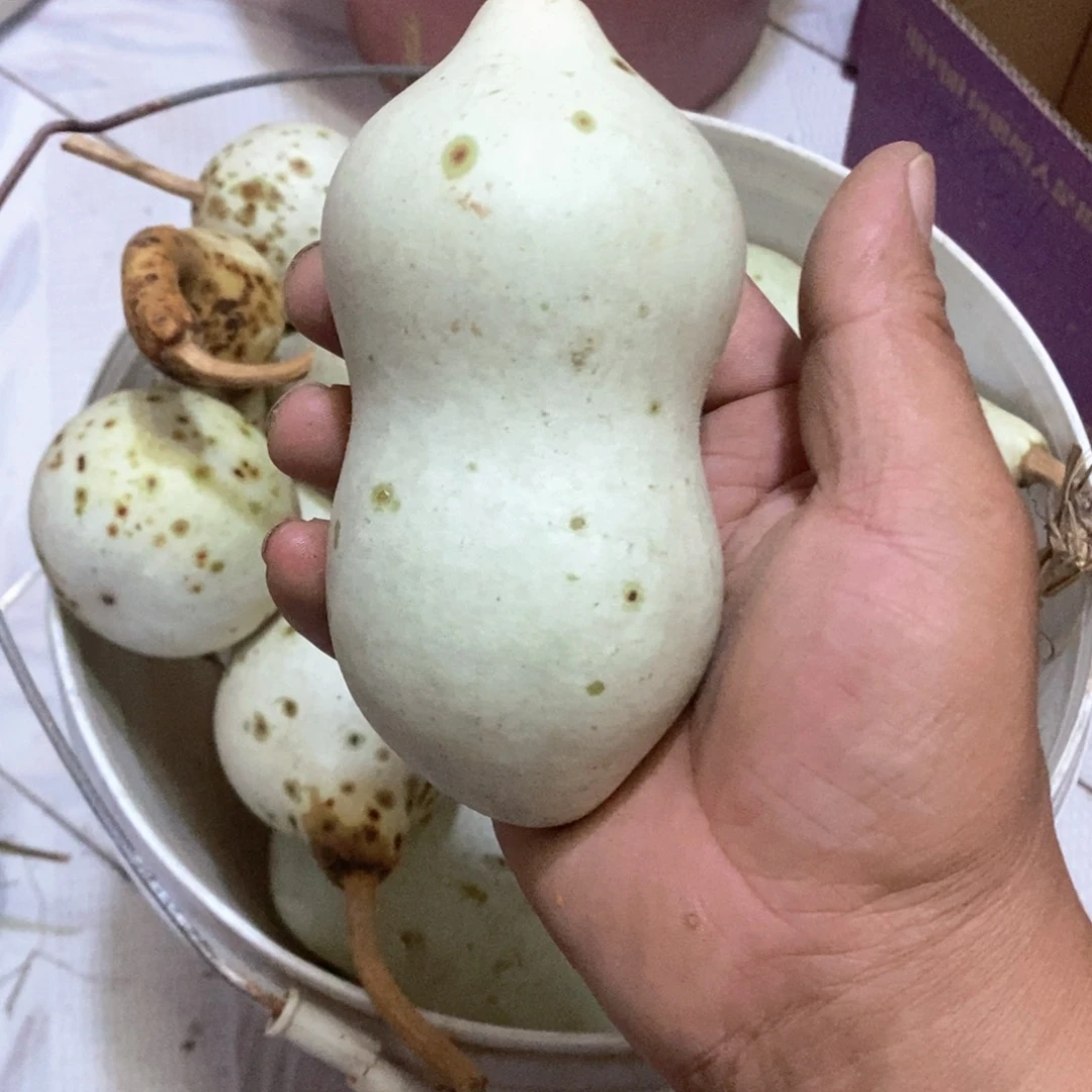 北****村文玩葫芦青皮葫芦