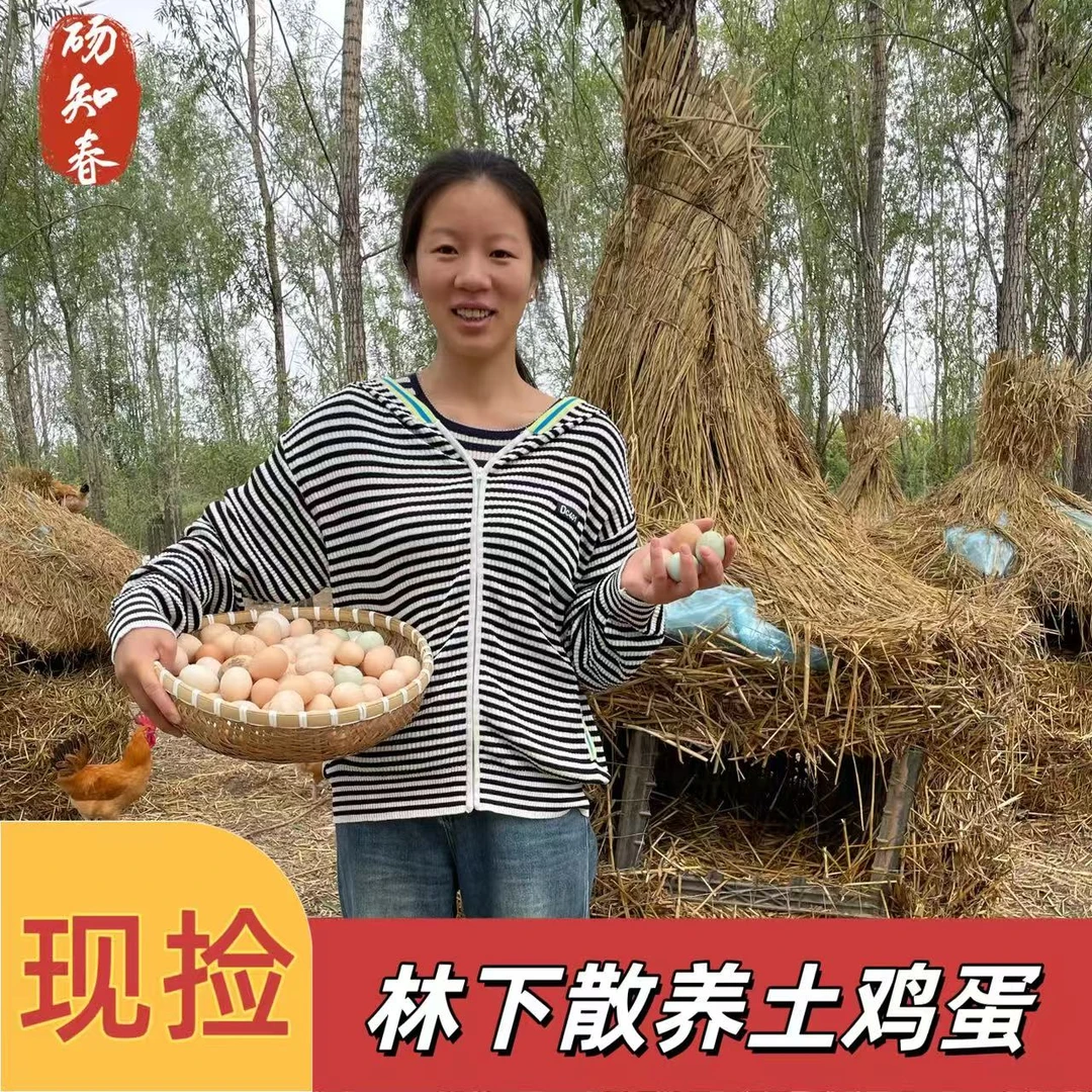 林下散养农村土鸡蛋新鲜现捡粗粮谷物喂养