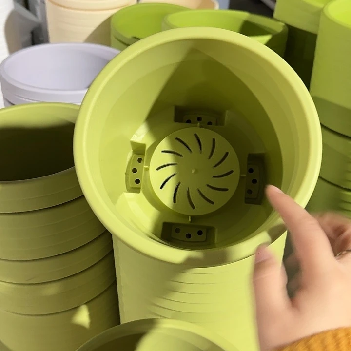 球根21口径6个无托果绿