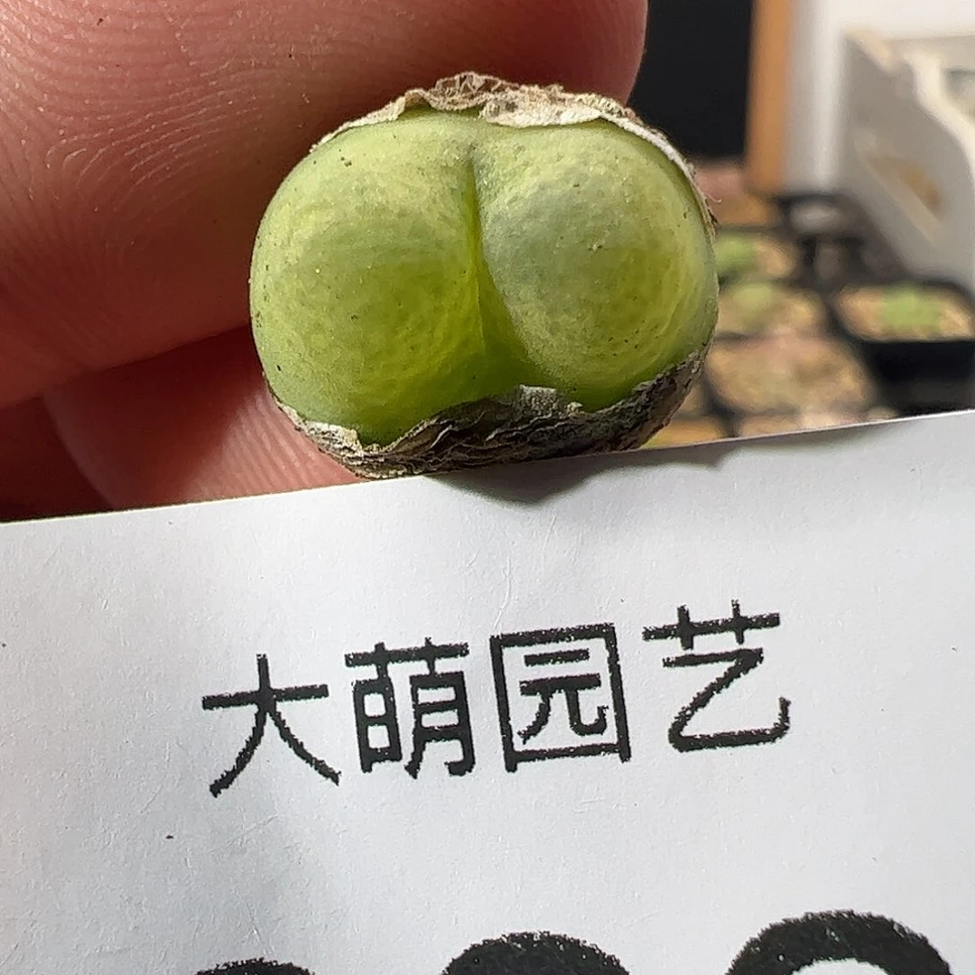 一物一拍。        222