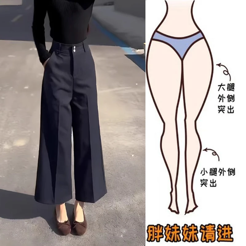 Aimeerosa/艾洛莎黑色复古通勤西装裤夏季新款高腰显瘦时尚九分裤