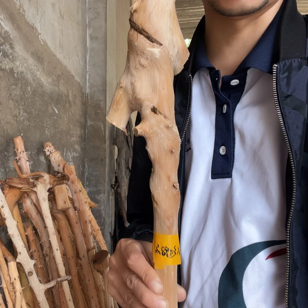 人**名贵州盘龙木登山杖