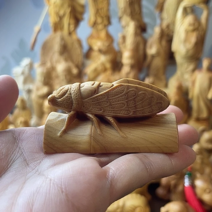 柏木（崖柏）崖柏一鸣惊人