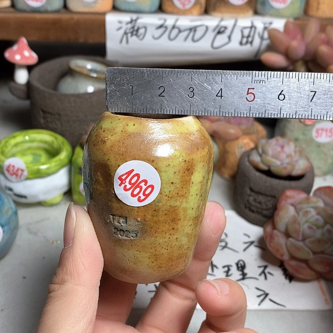 红陶拍5送一个小