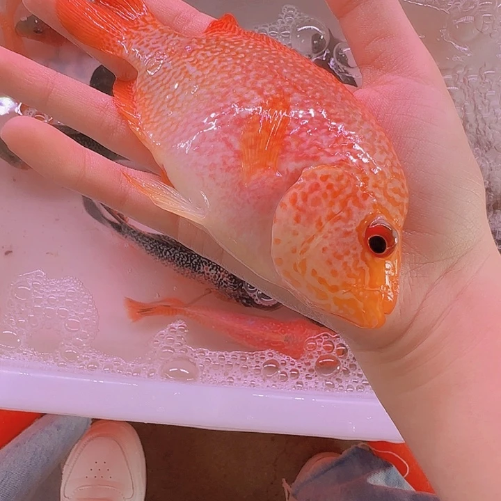海水啊啊啊啊啊啊