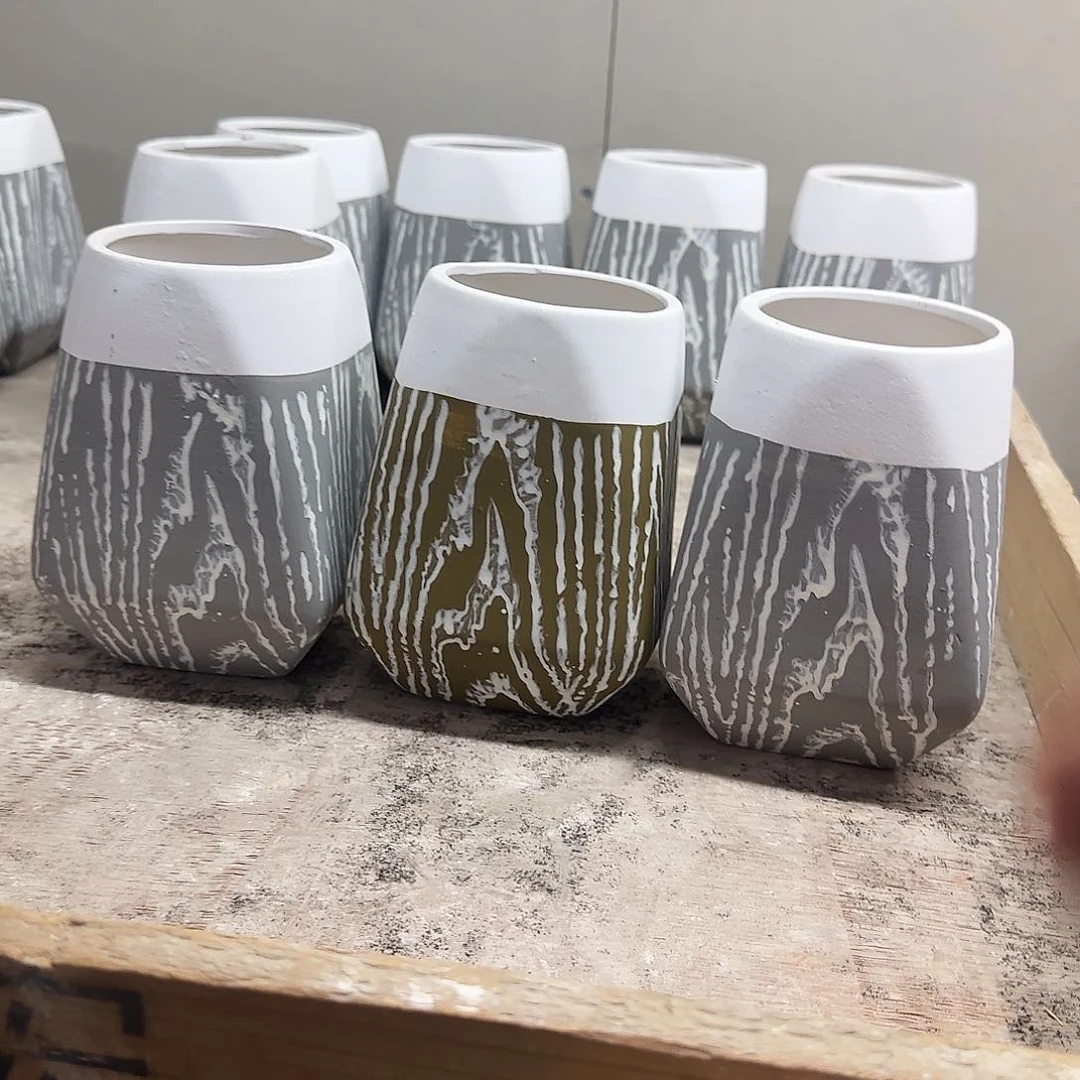 3个福利局绿植多肉盆［凑9元包邮24小时发］