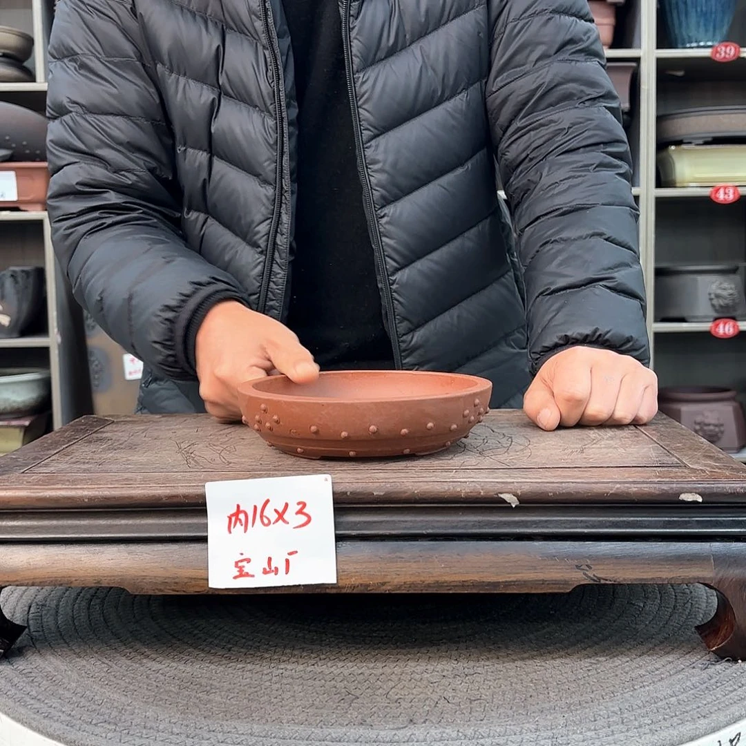 紫砂花盆紫砂的颜色很漂亮