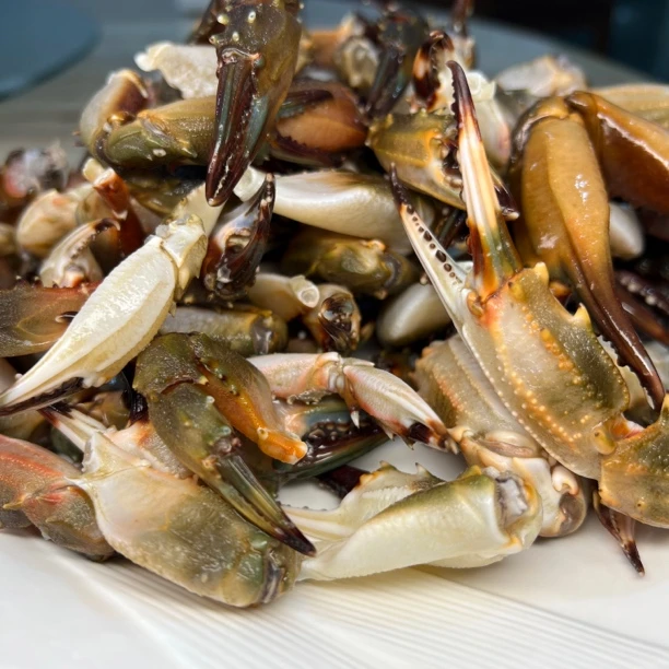 直播石蟹蟹腿【生的原料）海红蟹蟹腿宁波石浦顺风发货