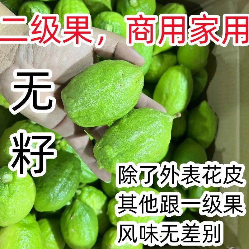 广东香水柠檬二级果新鲜采摘奶茶店咖啡店专用水果