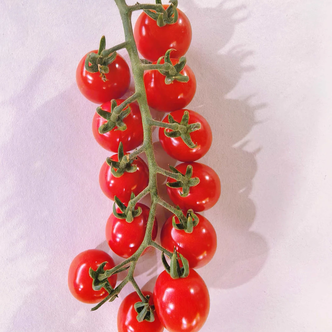 【弘茂农场】樱桃番茄3斤口感自然皮薄多汁酸甜爽口浓郁美味不催熟