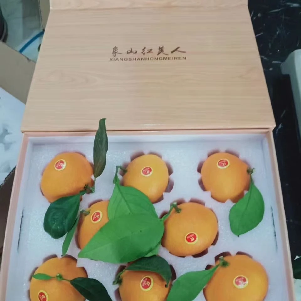 【象山红美人】正宗象山红美人鲜摘柑橘包邮象山直发甜蜜多汁浙江省