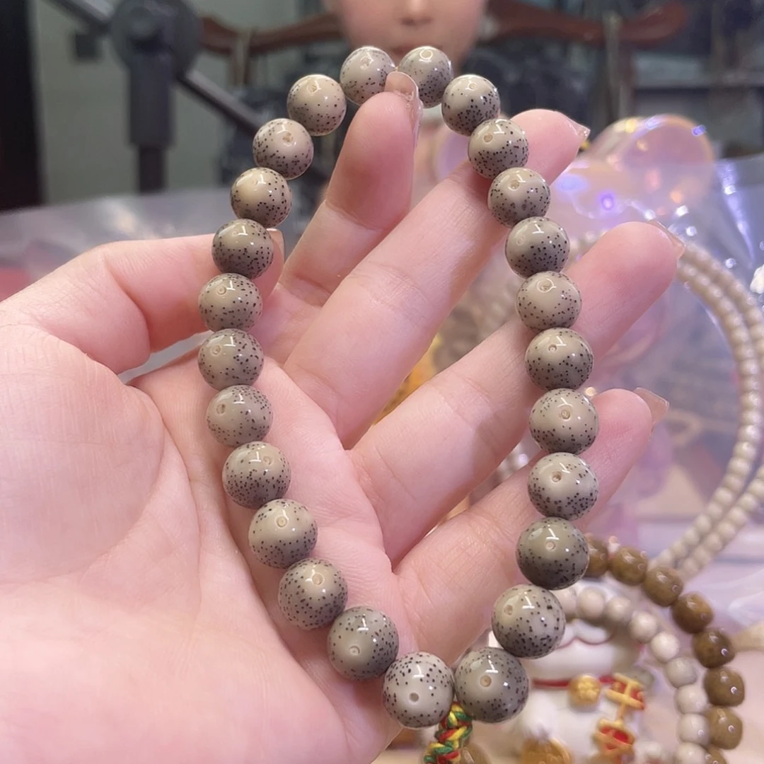 吊坠星月菩提星月菩提海南同枝果10x10