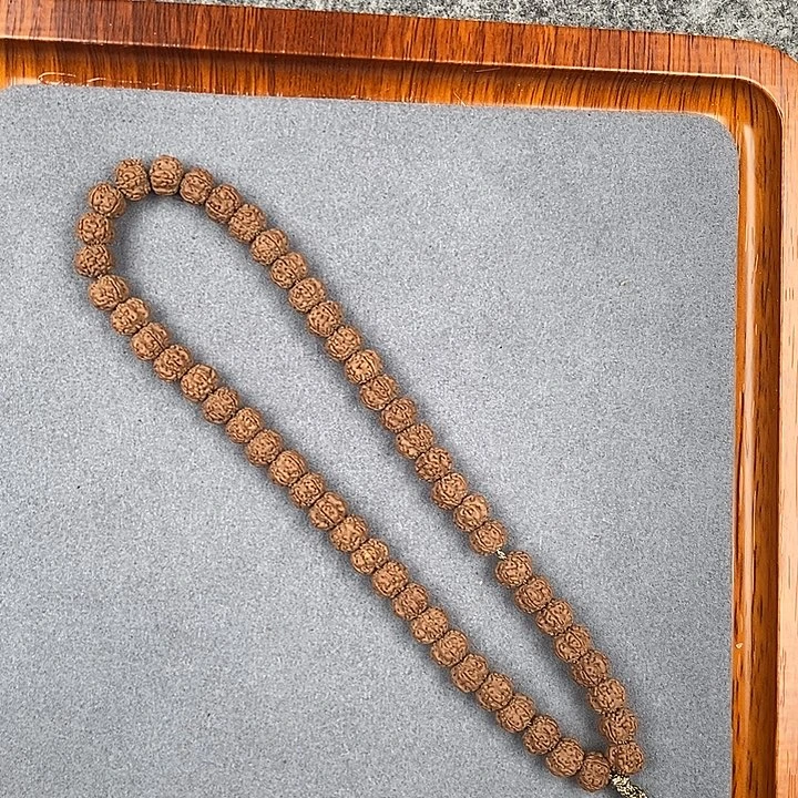 手串金刚菩提7+老树梅花手持