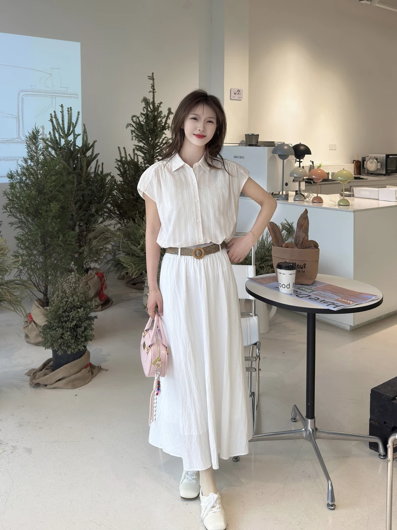 2025夏季新款洋气收腰显瘦轻奢衬衣半身裙两件套HJ-2060