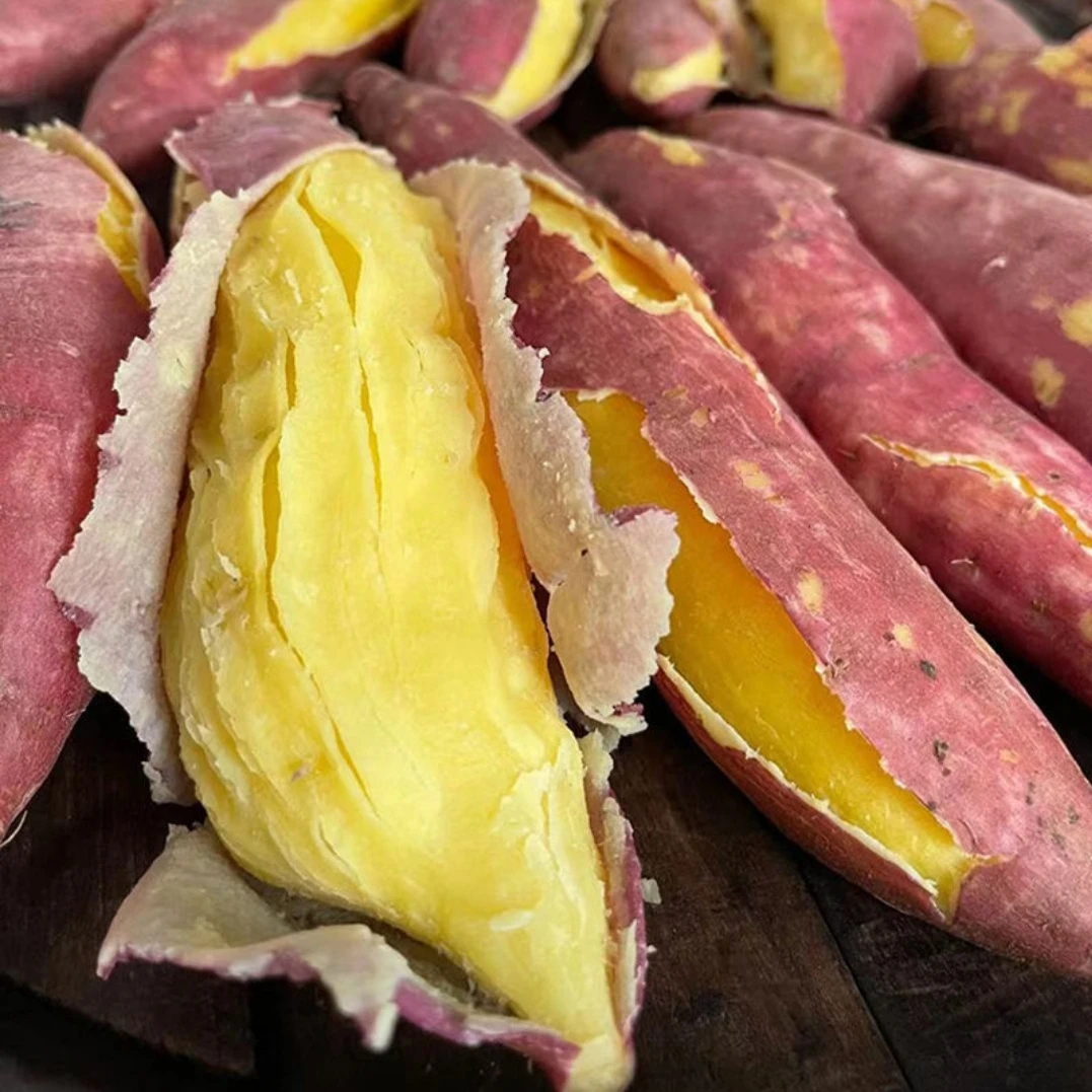 陕西渭南大荔沙地板栗红薯新鲜现挖粉糯甘甜香甜可口