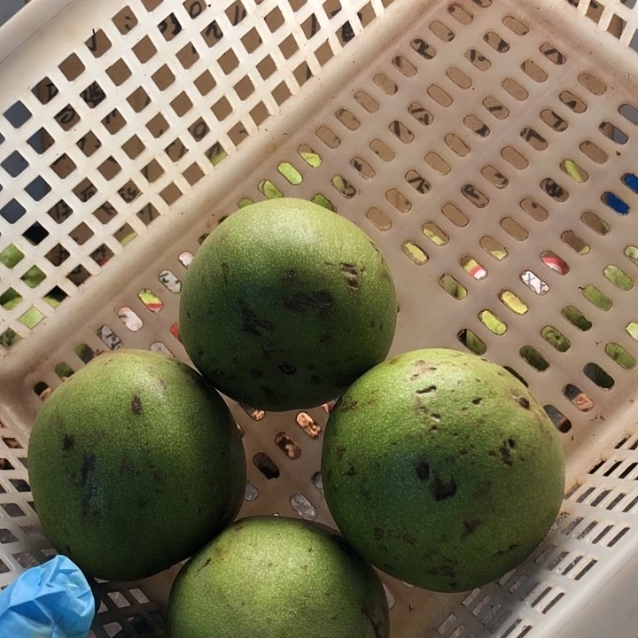 把件文玩核桃文玩核桃