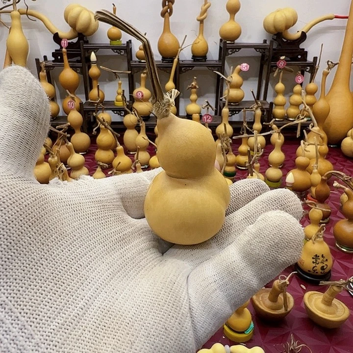 大**谢谢你的陪伴和陪伴