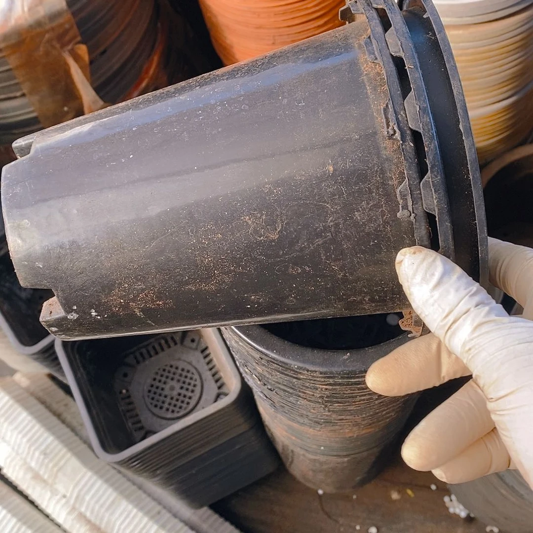 塑料旧15公分黑万象盆15个