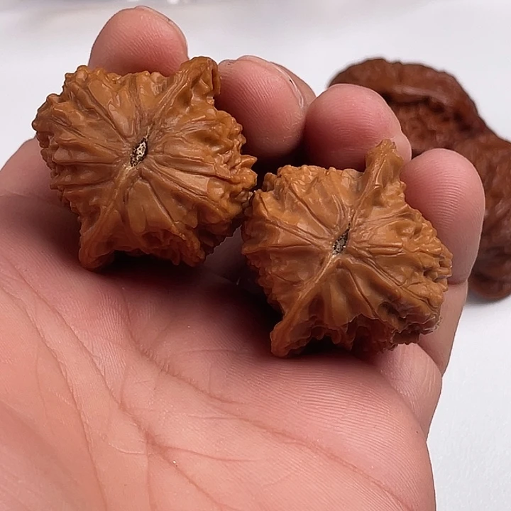别***躁37加麒麟鸡核桃核桃