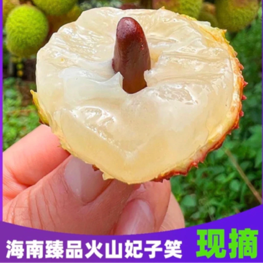精品海南妃子笑荔枝新鲜现采空运包邮当季水果礼盒