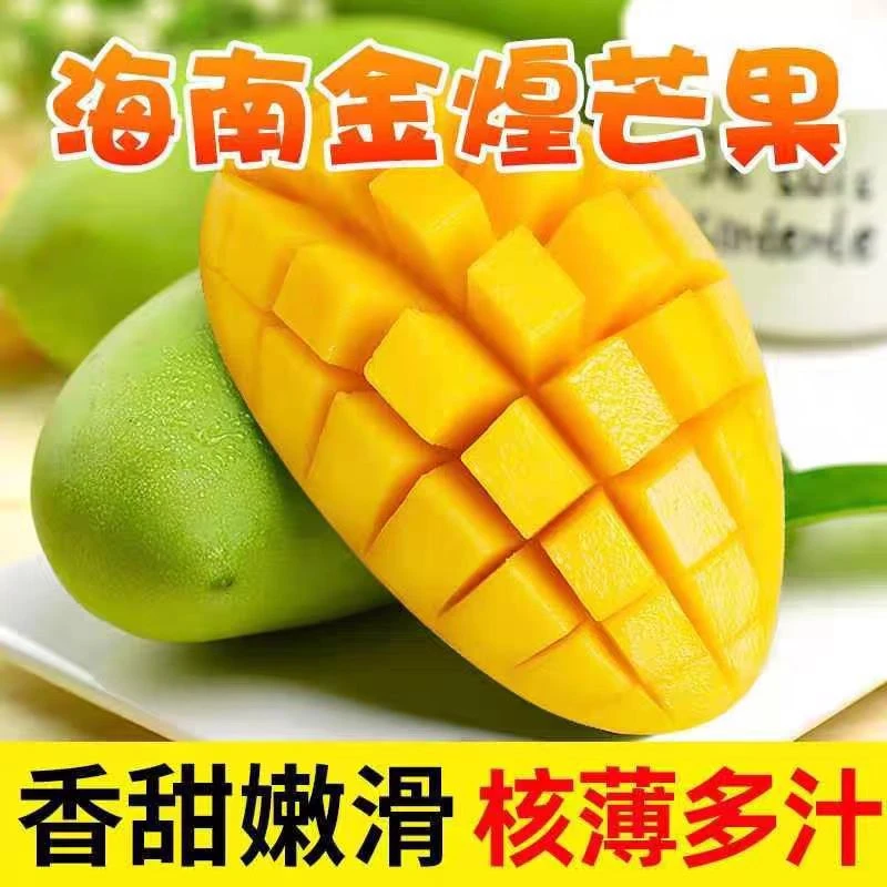 【催熟食用】海南金煌芒新鲜采摘当季芒果4.5-5斤装
