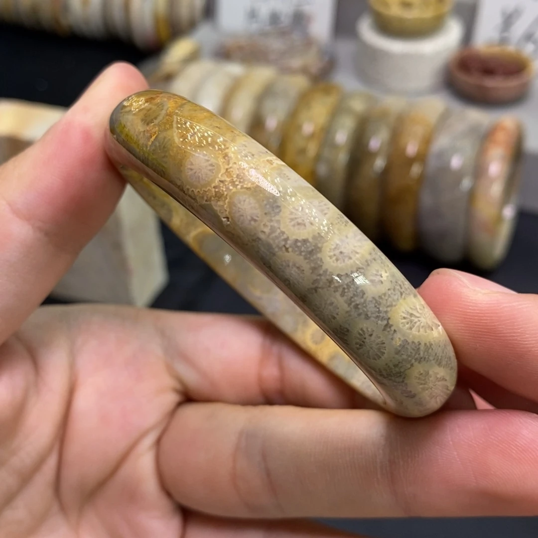 硅化玉未镶嵌手镯