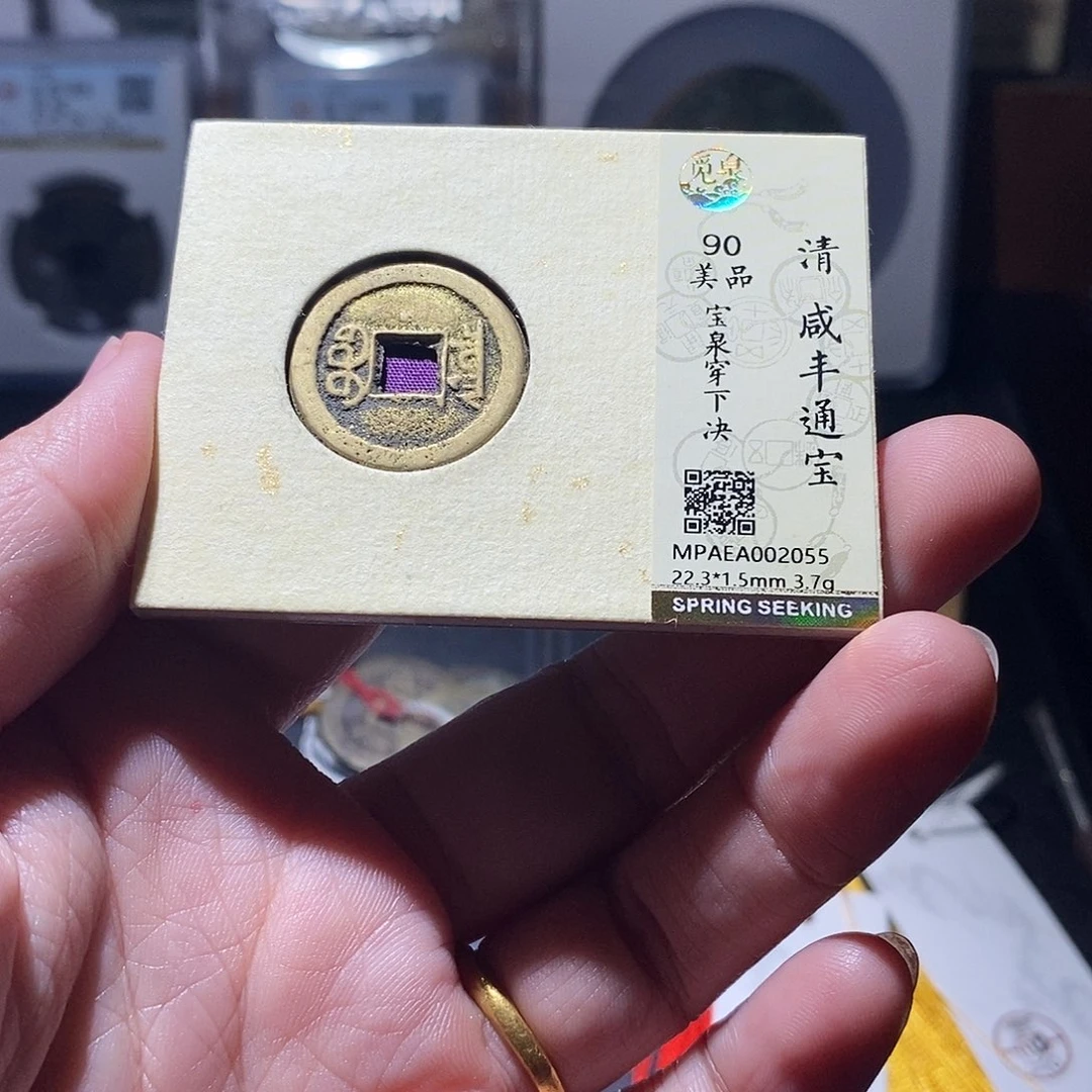 贝壳6 恭喜发财恭喜发财