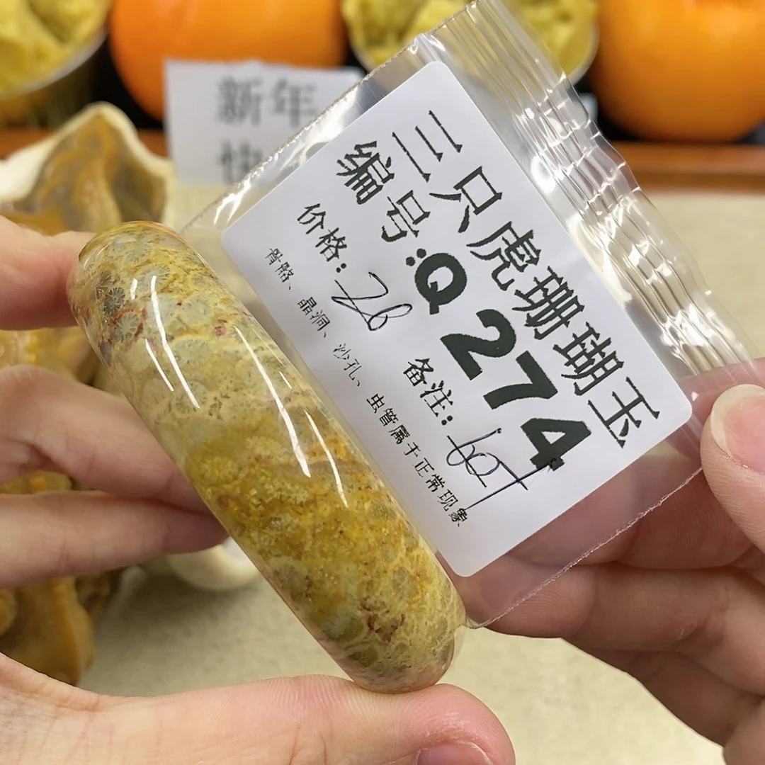 硅化珊瑚（珊瑚玉）1未镶嵌图*