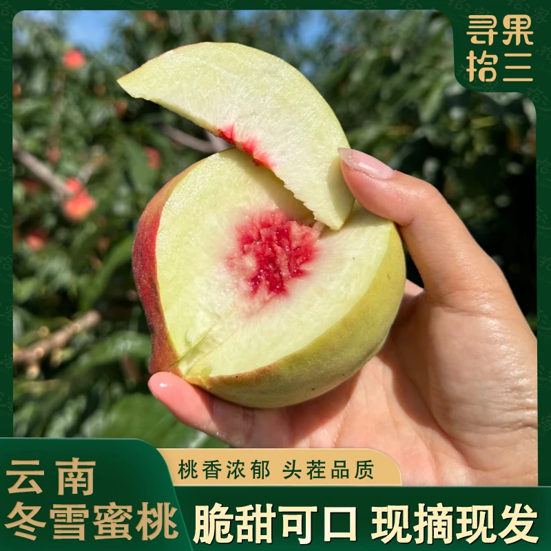【现摘现发】云南大理小冬桃 脆甜多汁离核红心脆桃 当季冬雪蜜桃