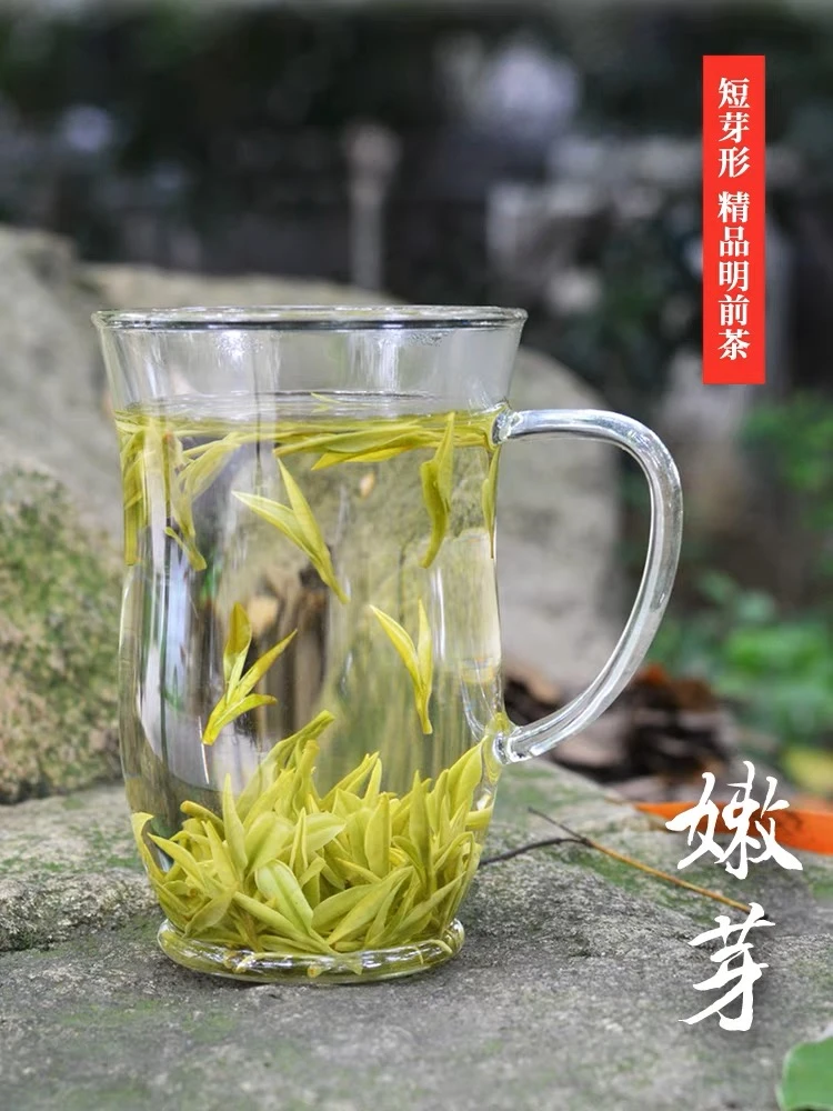 2025年4.2号【昆铜开园头采】新茶原产地安吉永心白茶春茶精品品质