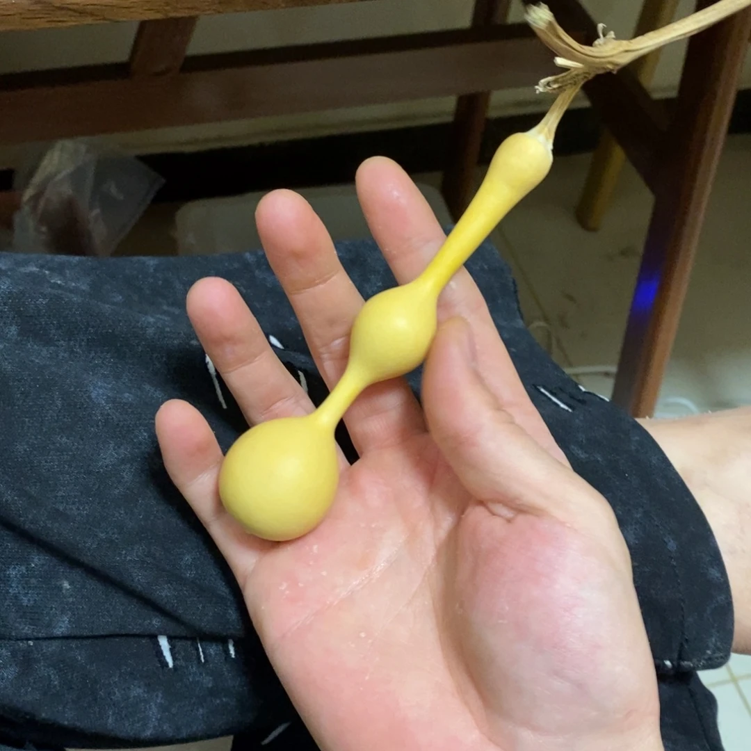 J***g葫芦啊啊啊啊啊啊啊啊啊