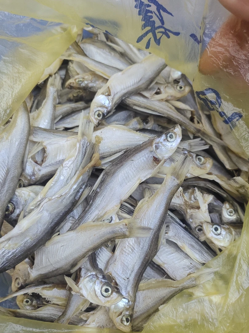 孔城大河农家小鱼