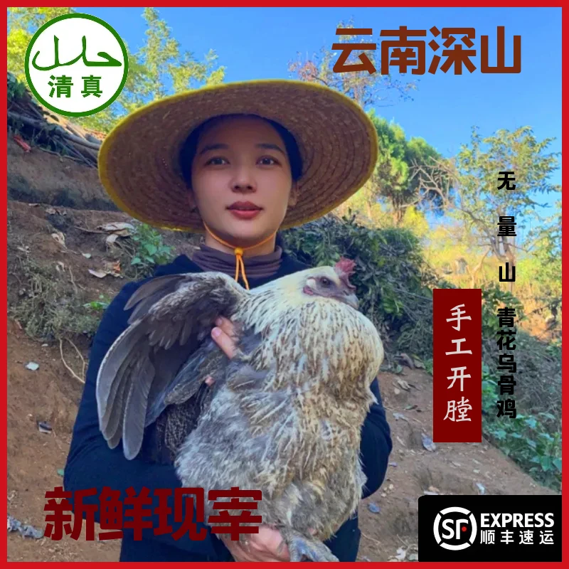 农家散养土母鸡散养土鸡云南新鲜现宰顺丰包邮农家土鸡清真冷冻