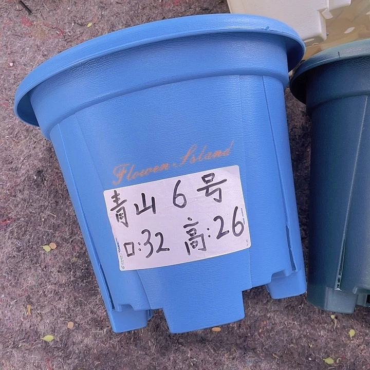 树脂青山6号32口径蓝色4个