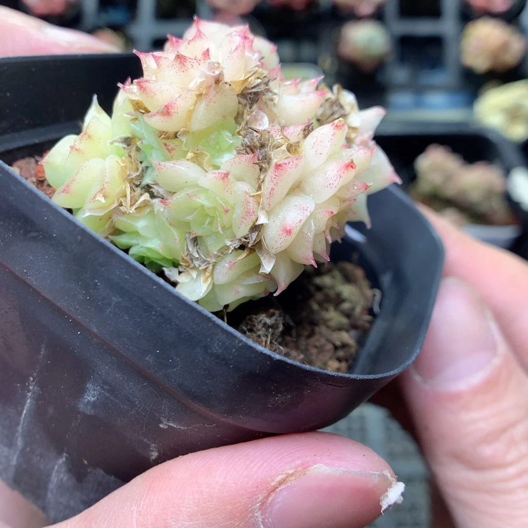 T98y y y y y y y