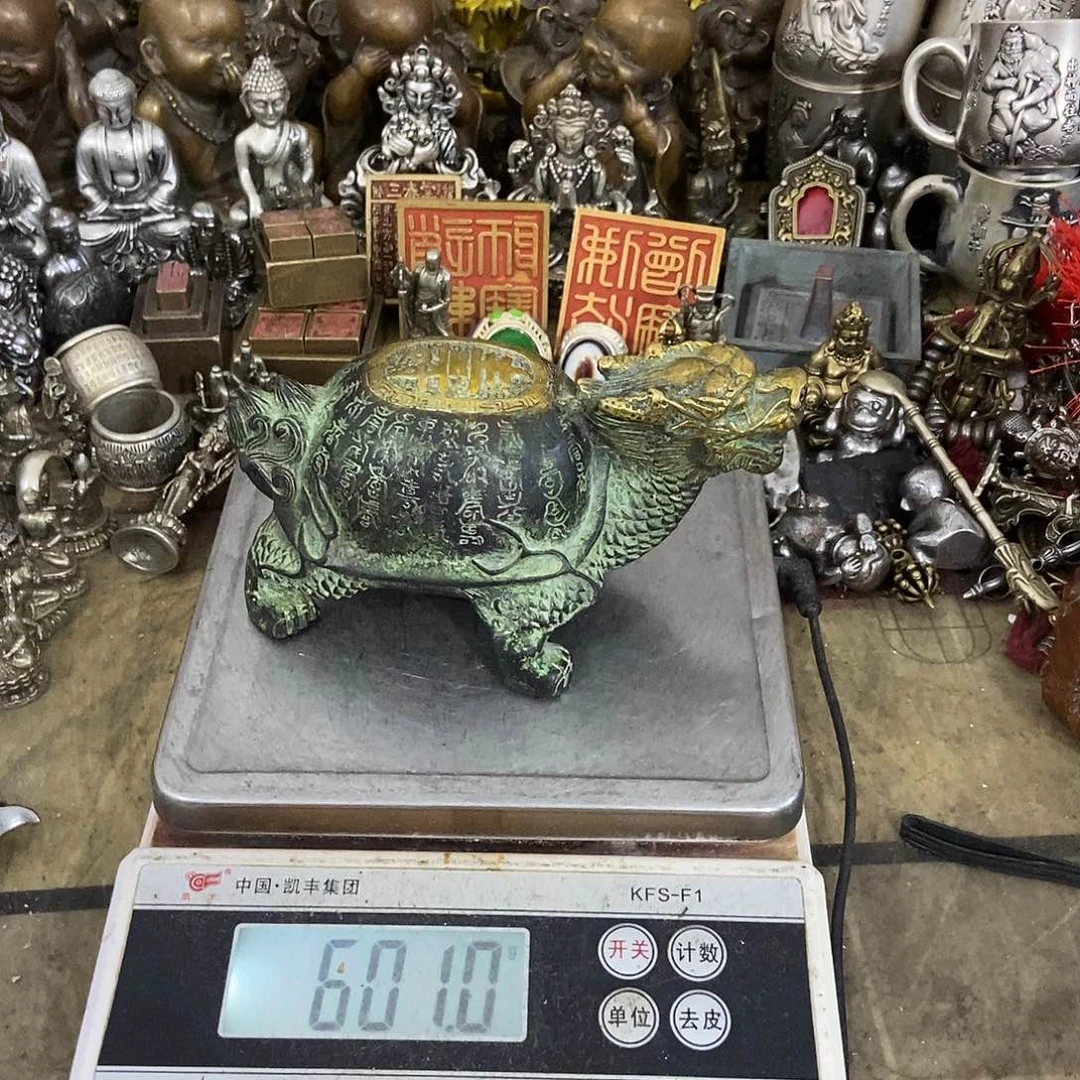 改变白变白变白变白变白