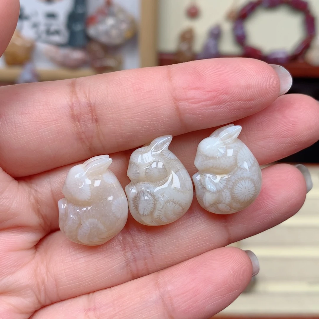 硅化玉珊瑚玉未镶嵌