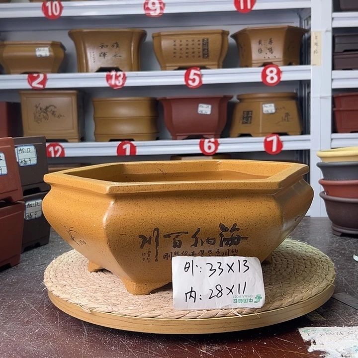 紫砂花盆蛇年大吉