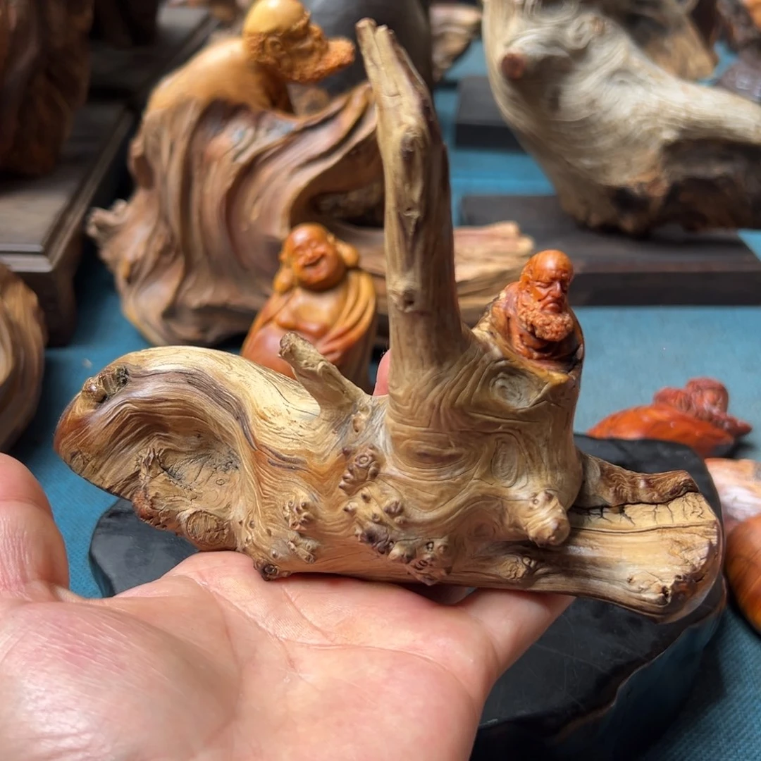 柏木（崖柏）太行崖柏