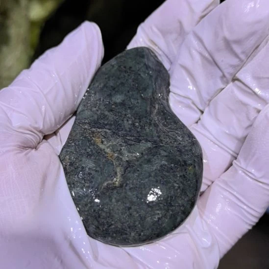 真***叶木藏玉药王石原石