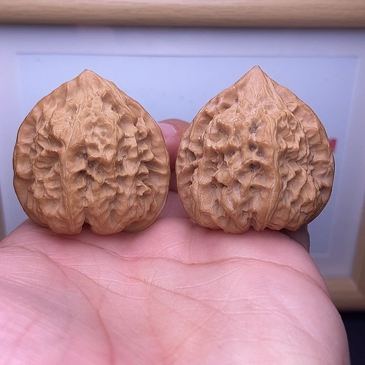 核桃全品三角野牛