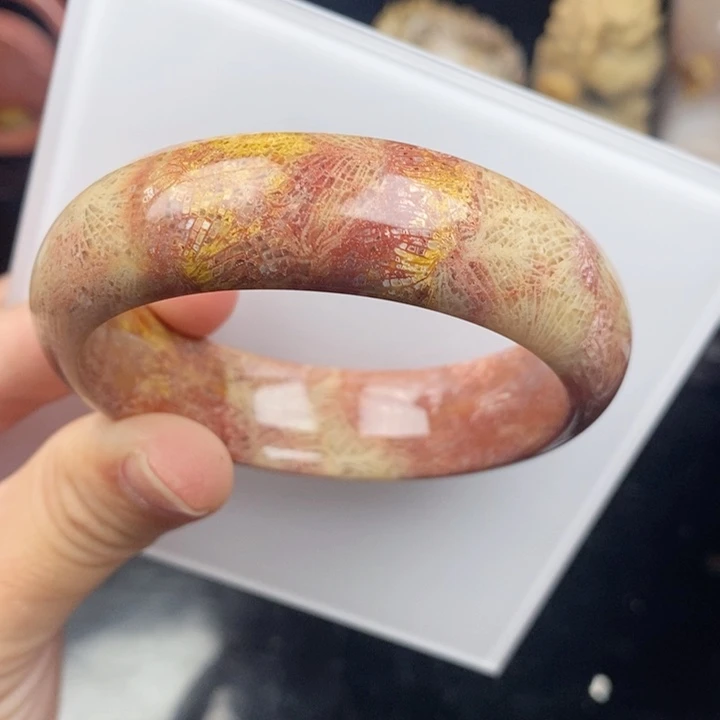 未镶嵌手镯硅化玉56