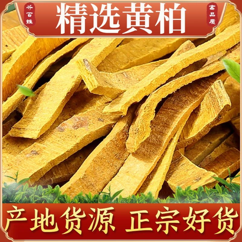 黄柏正宗四川中药材正品黄柏丝去皮黄柏新货泡水泡茶手工优质新货
