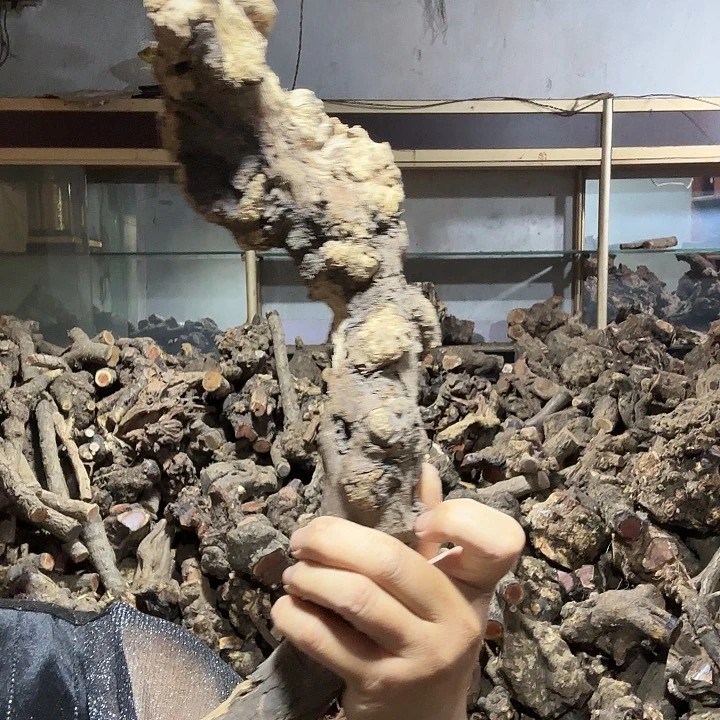 我***哥香榧木火琉璃的故事是