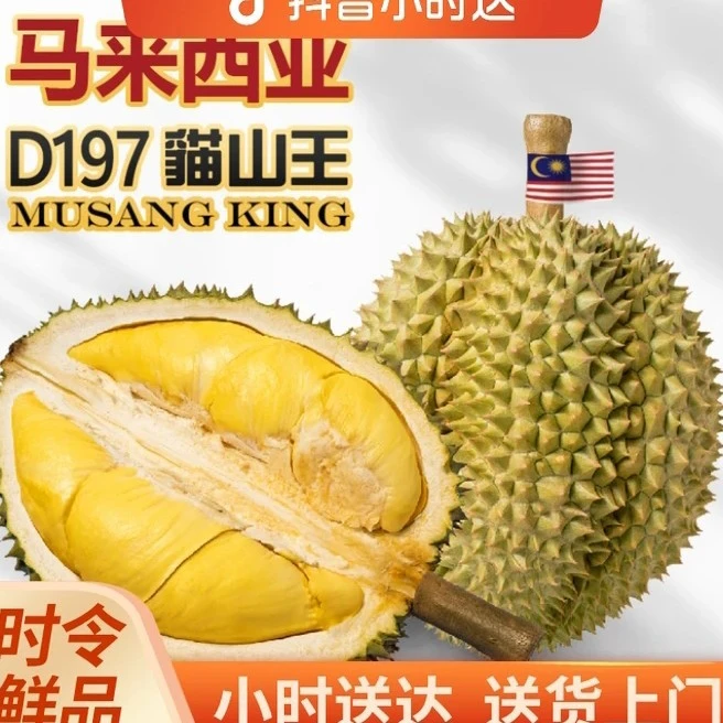 【正宗马来西亚D197 猫山王】树熟液氮锁鲜，一果一拍同城闪送到家猫山王马来西亚