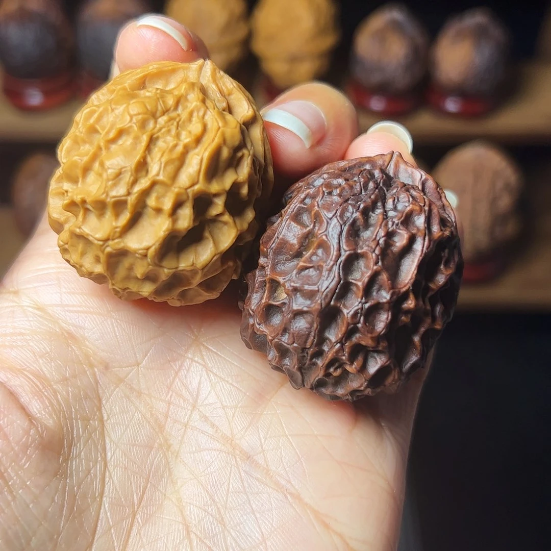 凤凰牡丹         42