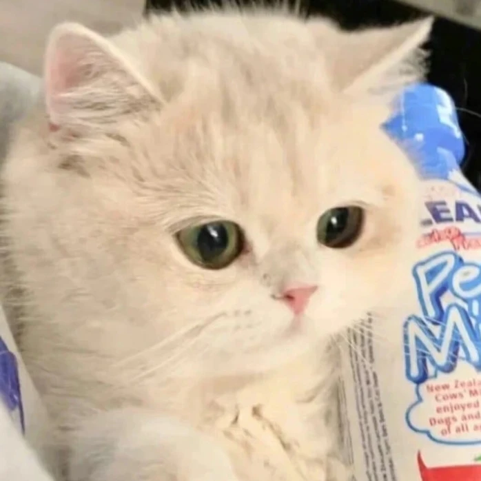 海上渔夫猫猫全价主食能量酱