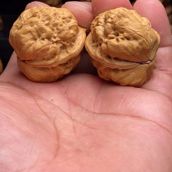 把件文玩核桃16虞姬金蟾